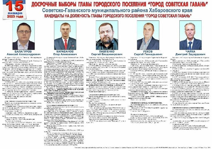 Сенатор Безденежных оценил подготовку к выборам в Советской Гавани