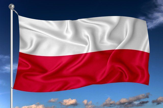 Польский политолог предложил провести референдум о войне с Россией