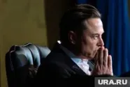 Маск извинился перед Трампом