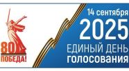Началась подготовка наблюдения за выборами в ЕДГ-2025