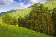 480 га земли будут возвращены в собственность Республики Алтай