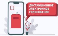 Свердловская область лидирует в дистанционном голосовании